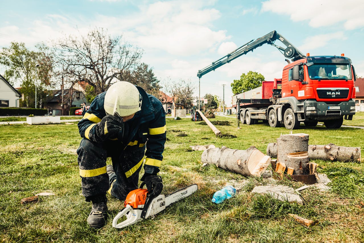 Arboriculture