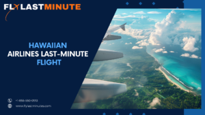 Last Minute Flights to Hawaii