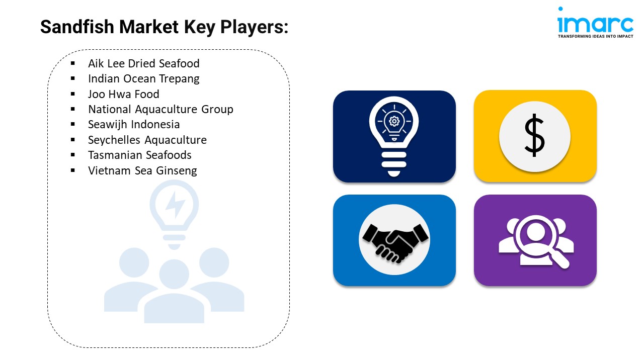 Sandfish Market Key Players