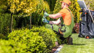 Landscaping Services