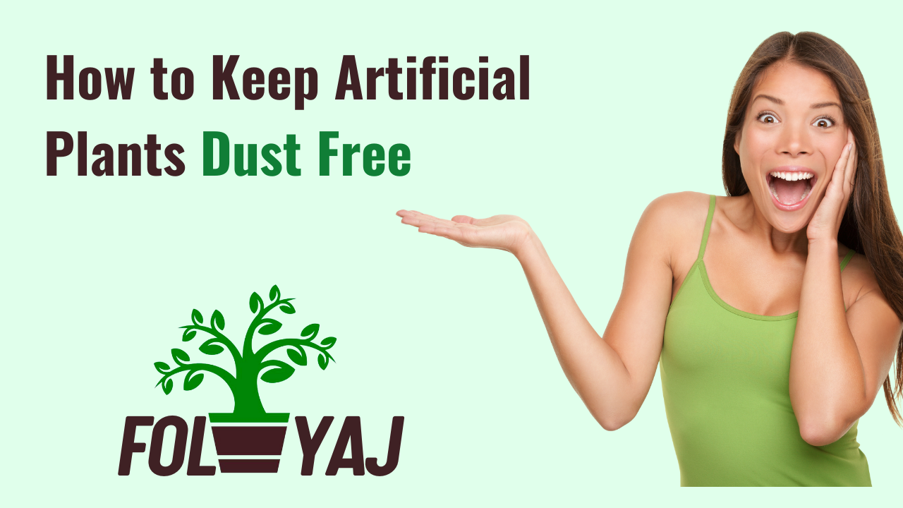 Artificial Plants Dust Free