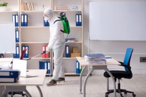 Pest Control Services in Lahore and Termite Treatment