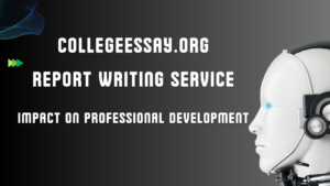 essay service