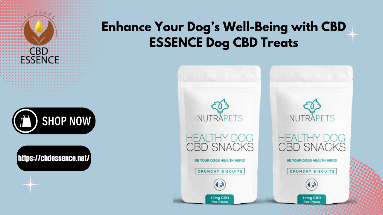 Dog CBD Treats