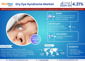 Global Dry Eye Syndrome Market