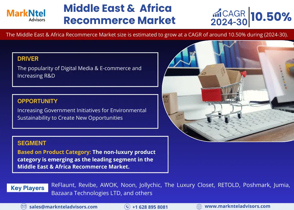 Middle East and Africa Paint Additives Market