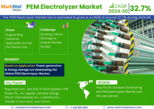 PEM Electrolyzer Market