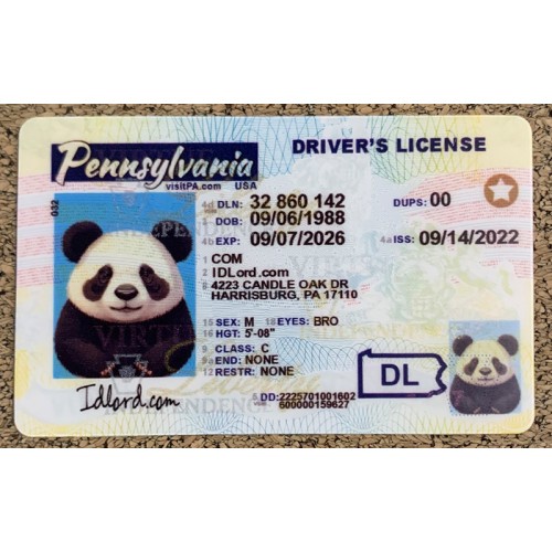 fake pa id