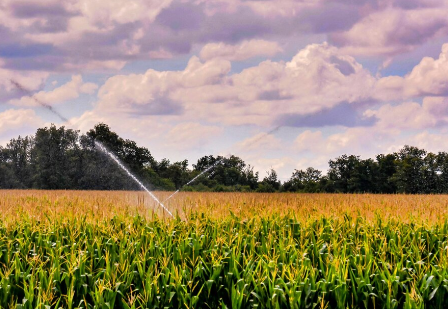 irrigation water quality