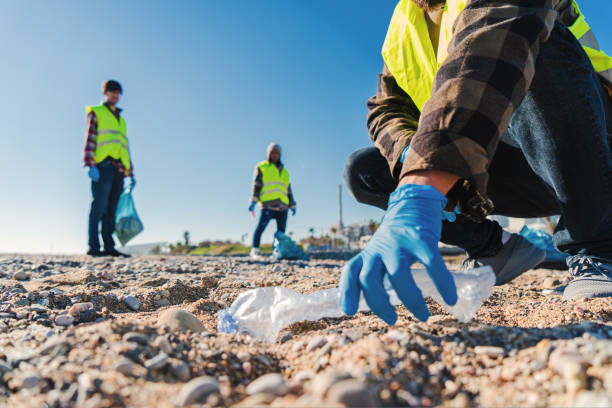 Waste Collectors