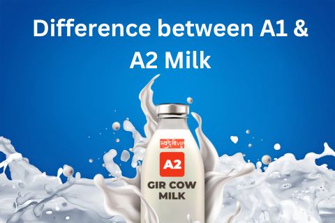 a2 gir cow milk