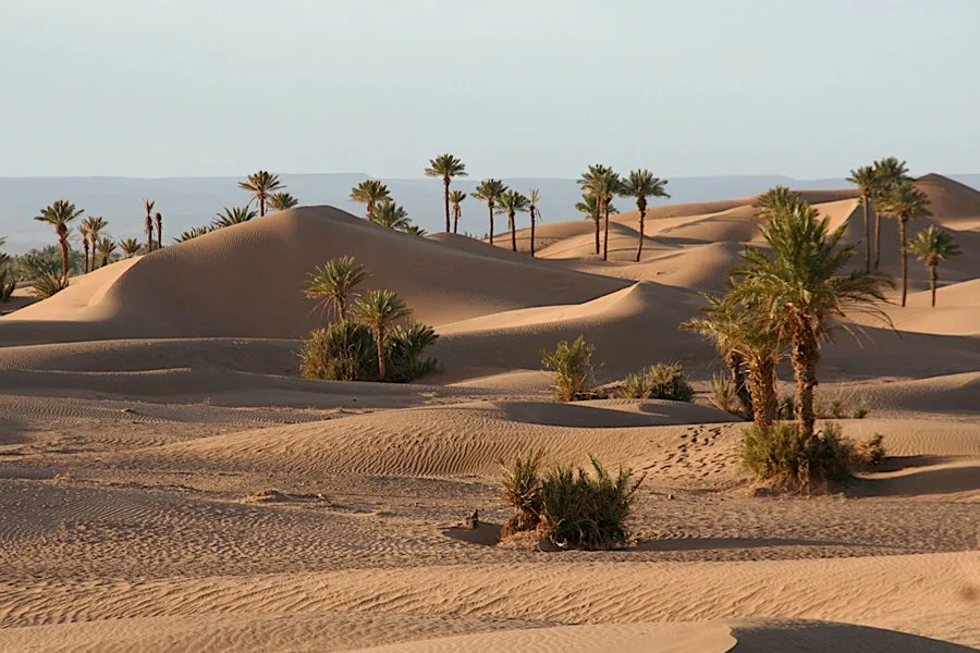 Dubai Desert Safari Tours