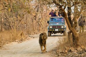 Cultural Visit At Sasan Gir