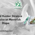 Head Hunter Strain