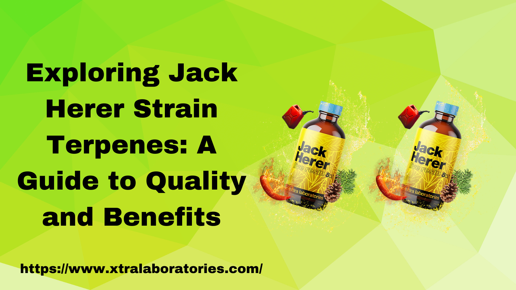 Jack Herer Strain Terpenes