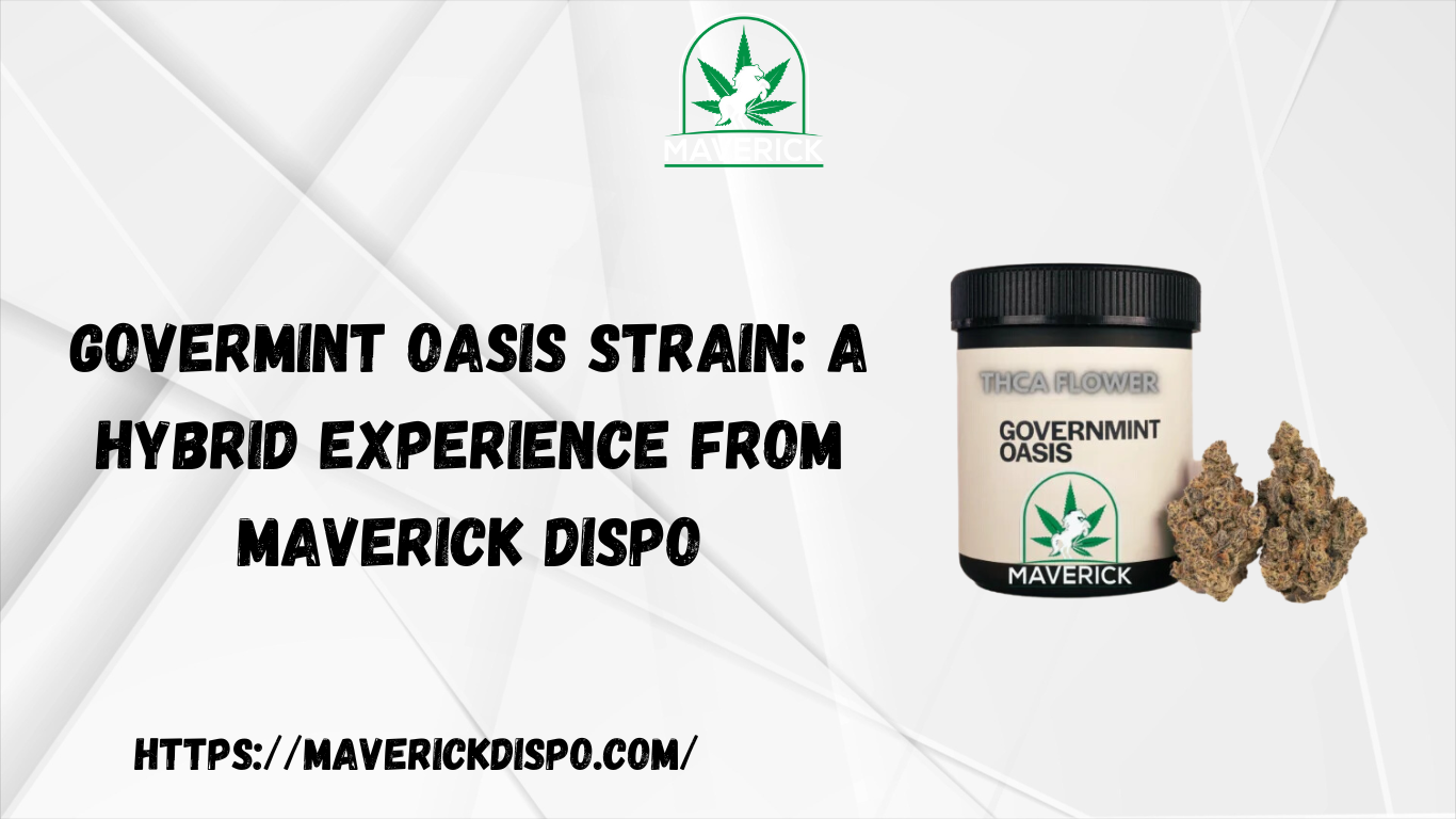 Govermint Oasis Strain