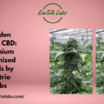 Golden Fruits CBD