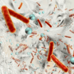 Biofilm Antimicrobial Susceptibility Testing