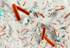 Biofilm Antimicrobial Susceptibility Testing