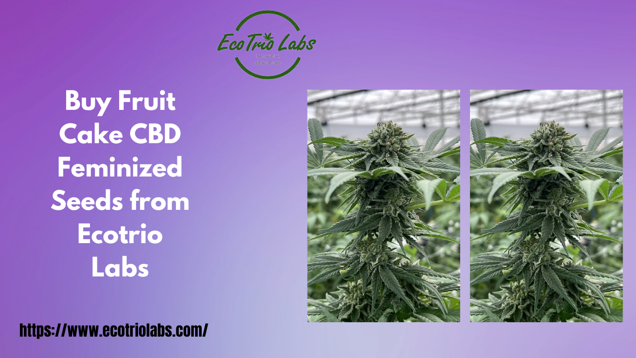 Fruit Cake CBD Feminized Seeds