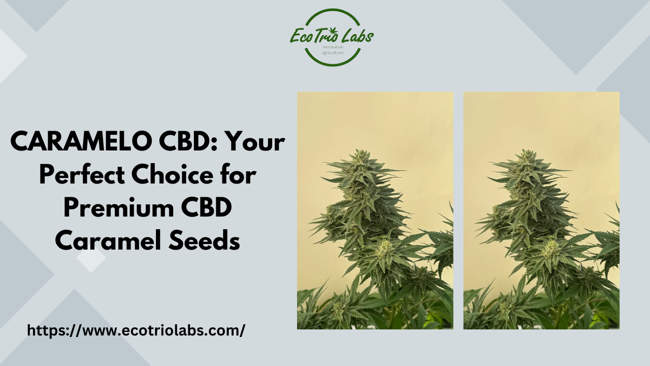 CBD Caramel Seeds