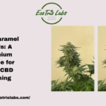 CBD Caramel Seeds