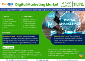 Digital Marketing Market (2)