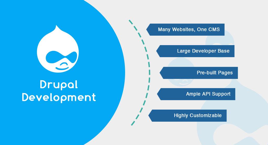 Drupal Development Company