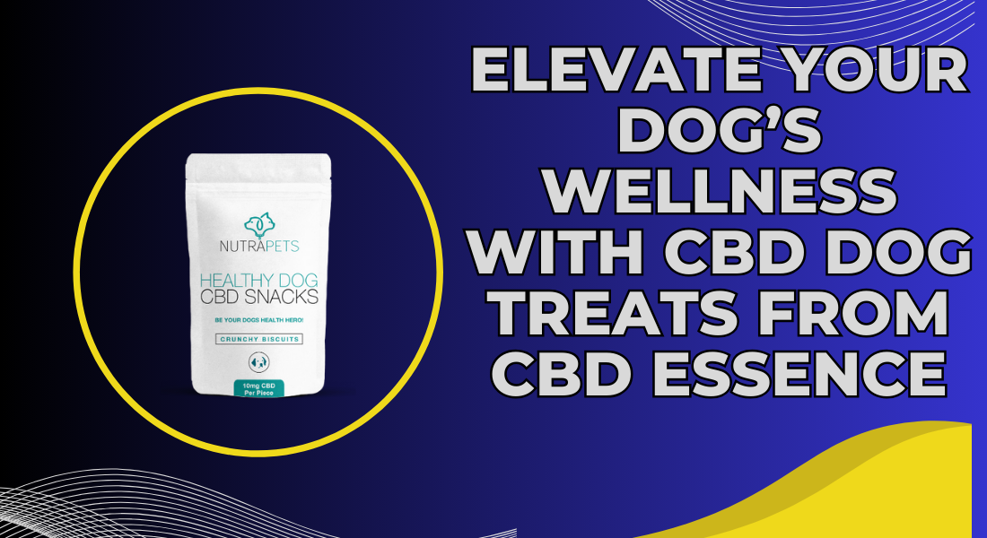 CBD Dog Treats