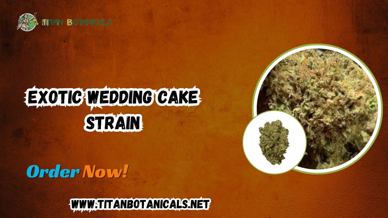 Exotic Wedding Cake Strain