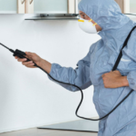 affordable fumigation services in Lahore