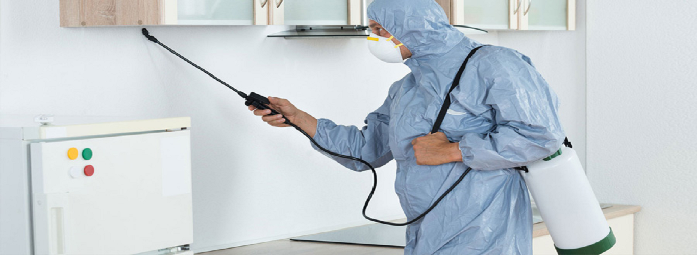 affordable fumigation services in Lahore