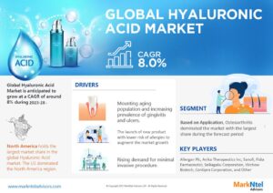 Global Hyaluronic Acid Market