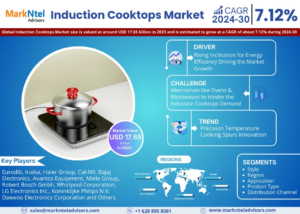 Induction Cooktops Market (1)