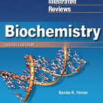 Lippincott Biochemistry