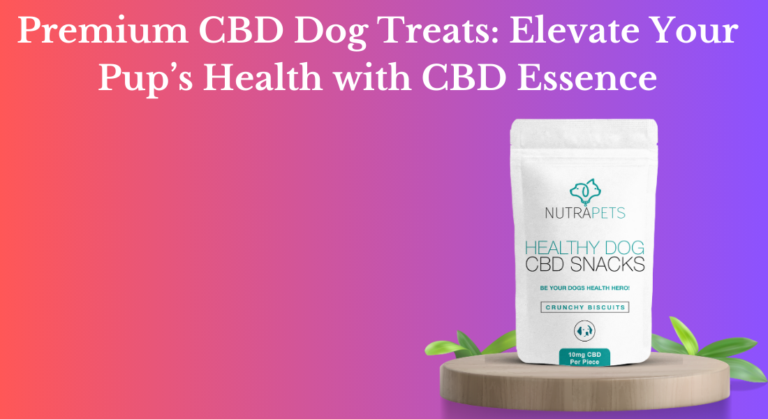 CBD Dog Treats