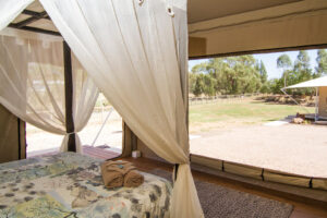 Places to Stay in Dubbo