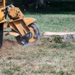 Stump Grinding Service