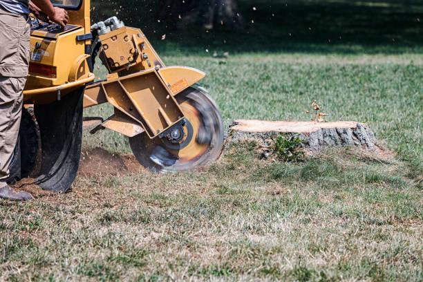 Stump Grinding Service