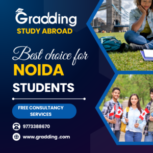 study abroad consultancy in noida