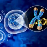 telomere biology analysis