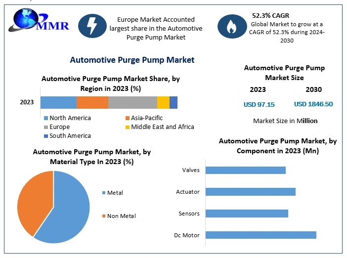 Automotive Purge Pump Market