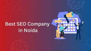 Best SEO Company in Noida