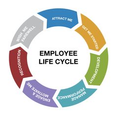 HR Metrics For Every Phase Of The Employee Lifecycle