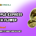 Pineapple Express THCa Flower