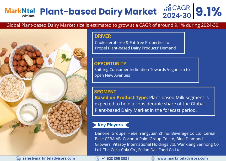 Plant-based Dairy Market (1)