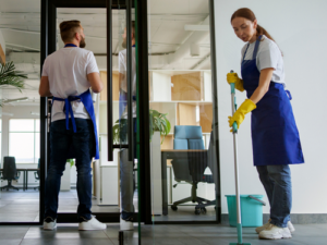 professional Cleaning Services