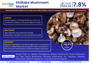 Shiitake Mushroom Market