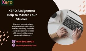 XERO Assignment Help to Master Your Studies