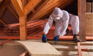 Insulation Removal Services